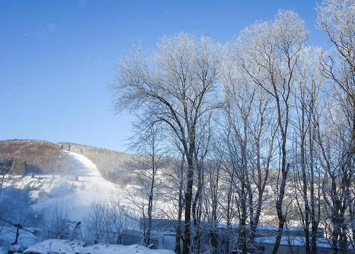 In With Sauna Hébergement de vacances Medebach